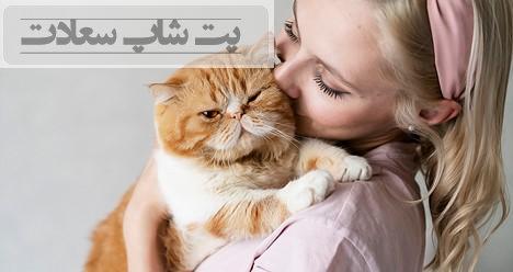 برگرداندن اشتهای گربه بعد از جراحی